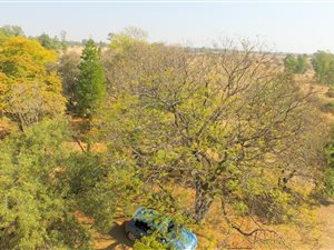 8 ha Farm in Vasfontein