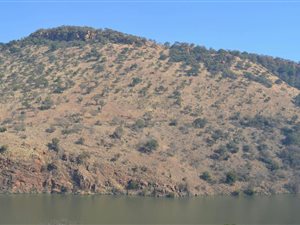 459 m² Land available in Estate D Afrique