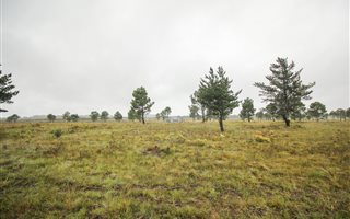 35 ha Land available in Rowallan Park and surrounds