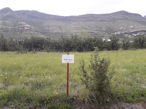 1404 m² Land available in Clarens