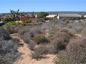 1654 m² Land available in Lamberts Bay