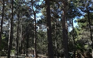 8091 m² Land available in High Riding Country Estate
