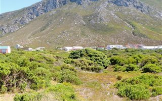 1179 m² Land available in Bettys Bay