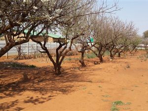 1115 m² Land available in Derby