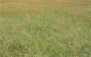8565 m² Land available in De Deur