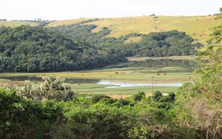 795 m² Land available in Morgans Bay