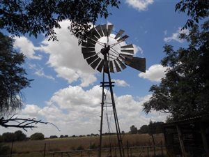 47.3 ha Farm in Bainsvlei