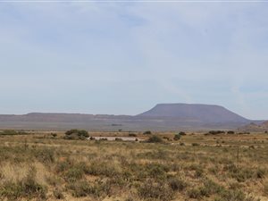 Farm in De Aar
