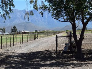 15.8 ha Farm in Worcester and surrounds