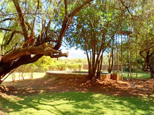 2.7 ha Farm in Rietfontein