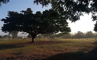 1.4 ha Farm in Morningstar