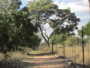 70 ha Farm in Modimolle