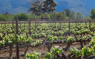 1.6 ha Land available in Calitzdorp