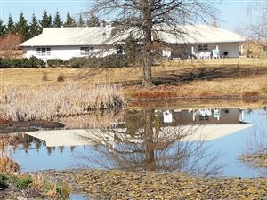 3 Bed House in Rosetta