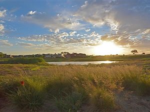 1194 m² Land available in Serengeti