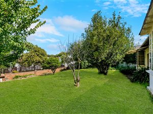 4 Bed House in Parktown North