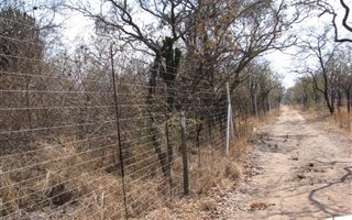 21 ha Farm in Naboomspruit