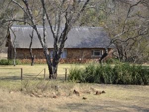 570 m² Farm in Lydenburg