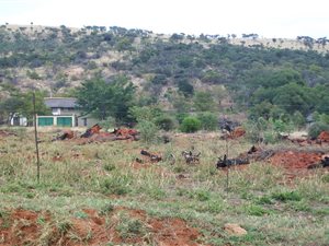 19.3 ha Land available in Derdepoort Park