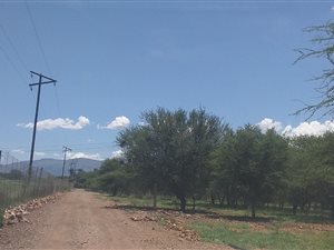 400 ha Farm in Burgersfort