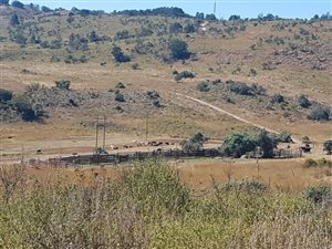 454 ha Farm in Mokopane