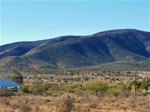 1467 m² Land available in Steytlerville