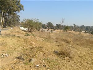 1 ha Farm in Linbro Park