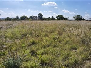 2.9 ha Land available in Laezonia