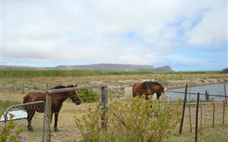 1 ha Farm in Elands Bay