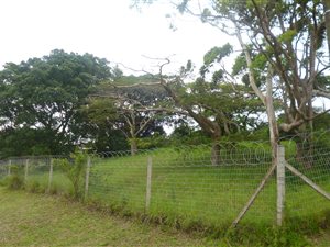 893 m² Land available in Mount Vernon