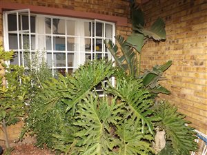 3 Bed Simplex in Marlands