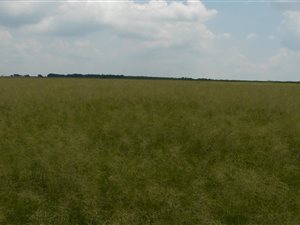 1544 ha Farm in Ventersdorp