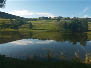 160.8 ha Farm in Mooi River