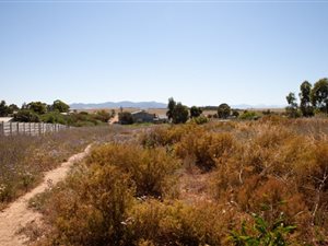 4372 ha Farm in Klipheuwel