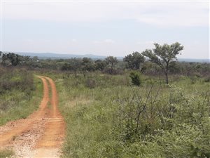 35 m² Land available in Louis Trichardt