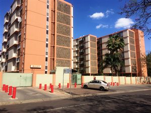 1 Bed Flat in Arcadia
