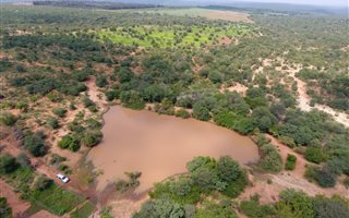 320 ha Farm in Hoedspruit