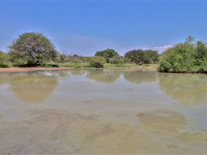 955 ha Farm in Lephalale (Ellisras)