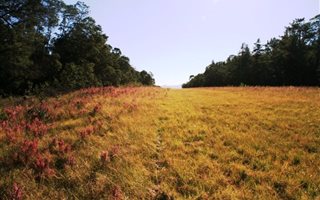 52 ha Farm in Harkerville