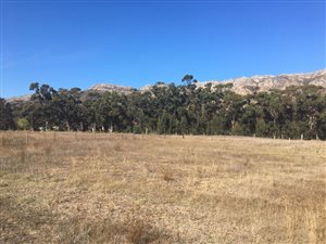 4.3 ha Farm in Firlands