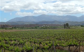 1.6 ha Land available in Calitzdorp