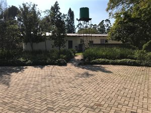 3.5 ha Farm in White River