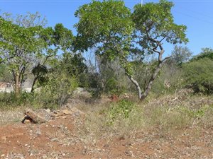 1638 m² Land available in Komatipoort