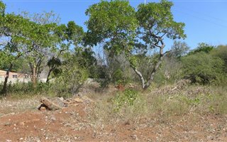 1638 m² Land available in Komatipoort