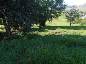 1425 m² Land available in Phezulu