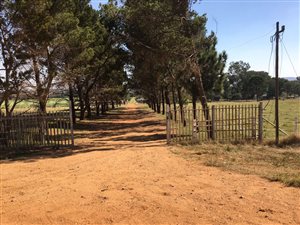 128 ha Farm in Pendale AH