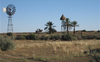 17041 ha Farm in Upington