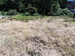 2391 m² Land available in Sarnia