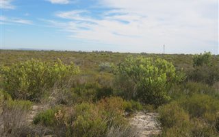 19.4 ha Land available in Hopefield