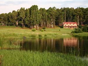 235 ha Farm in Dullstroom